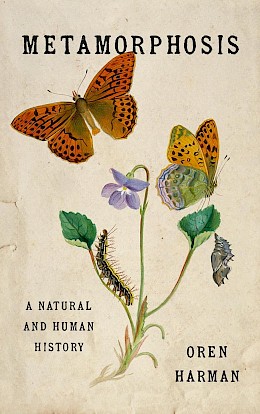 Metamorfoza